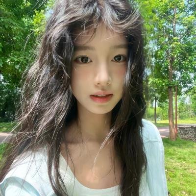 锦囊妙录